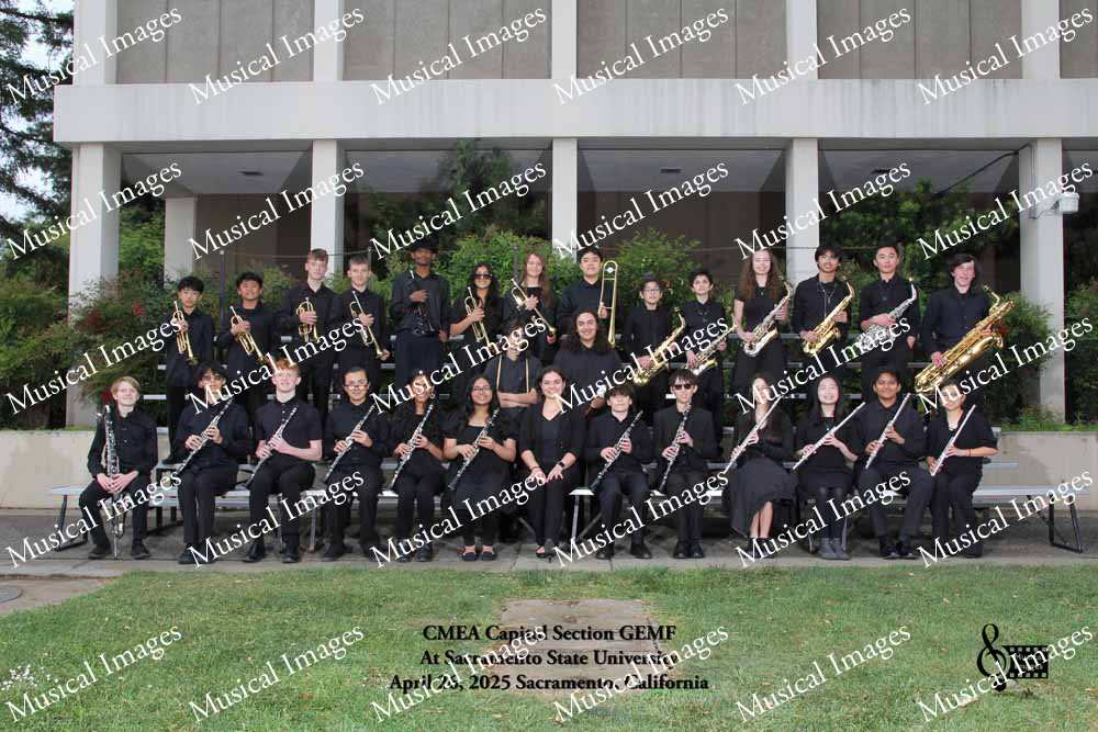 Musical Images
